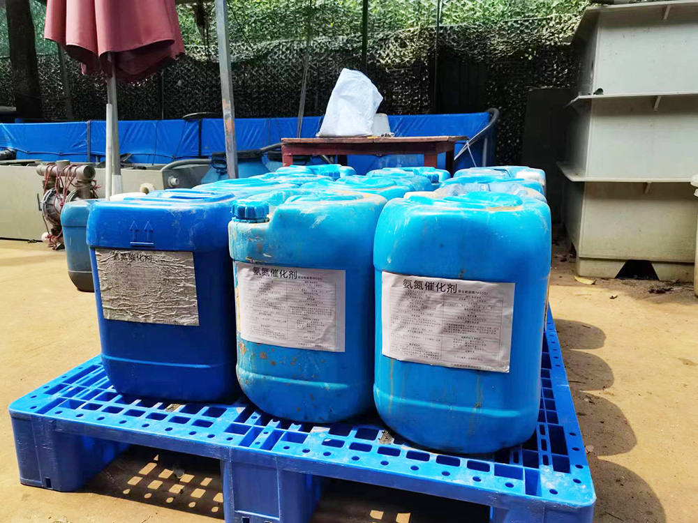 氨氮催化劑